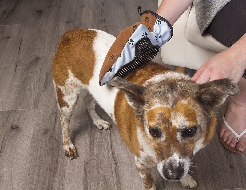 FURemover Pet Grooming Mitt, Scratch Free Dog Grooming Mitt Suitable for Long & Short-Haired Breeds, Set of 2, Colors May Vary, FMB2P12-AMZ - Image 2